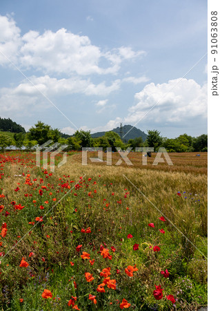 中之条ガーデンズ　スパイラルガーデン 91063808