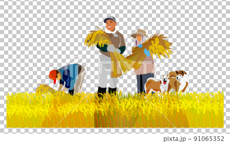 一個美麗的日本山村，有一座古老的民居。人們在秋收的時候努力收割稻穀。它是 91065352