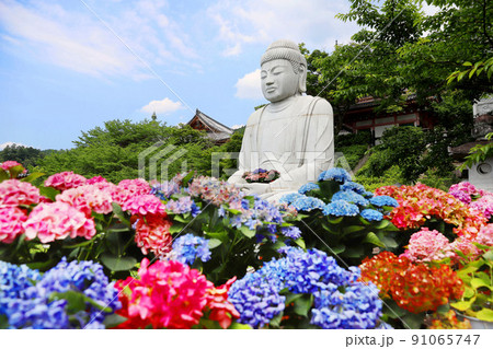 壷阪寺 奈良県 壷阪寺 奈良県 91065747