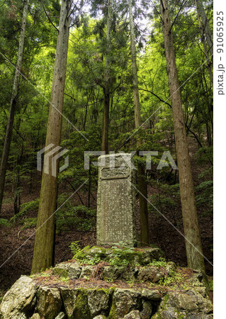 森の中の石碑 91065925