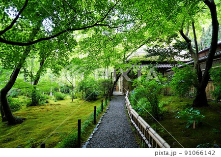 京都・嵯峨野の祇王寺（6月撮影） 91066142