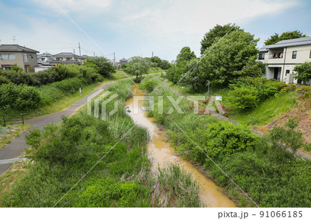 新潟市秋葉区　夏　新町大橋から新津川を望む 91066185