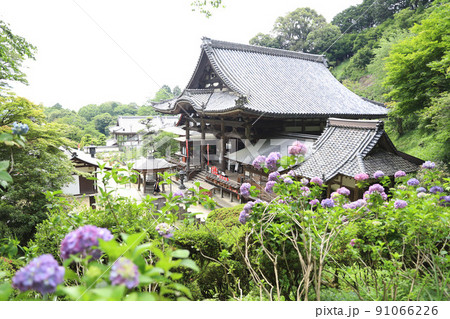 岡寺　奈良県 91066226