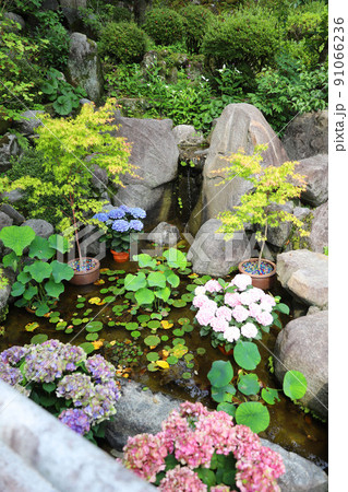 岡寺　奈良県 91066236