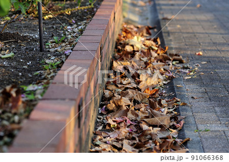 いつか見た落ち葉 91066368