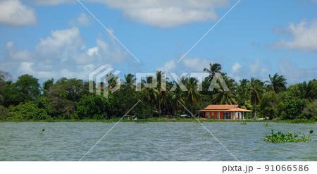 Green waters and riverside of Sao Francisco river, in northeast Brazil 91066586