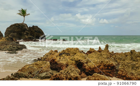 panoramic of famous Tambaba Beach in Paraiba, Brazil panoramic of famous Tambaba Beach in Paraiba, Brazil 91066790