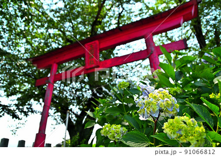 群馬県伊勢崎市下渕名の大國神社 91066812