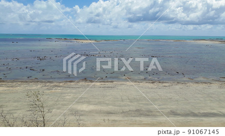 natural sea pools of the coral reefs barrier in Maragogi, Alagoas, Brazil natural sea pools of the coral reefs barrier in Maragogi, Alagoas, Brazil 91067145