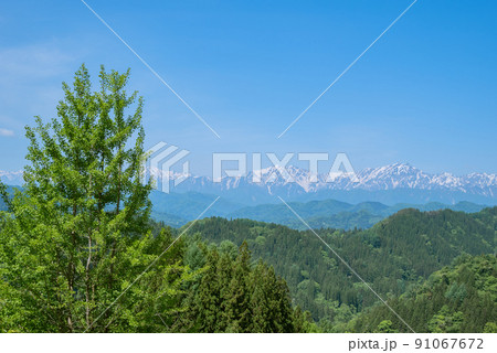 長野市中条から北アルプスを望む【初夏】 91067672