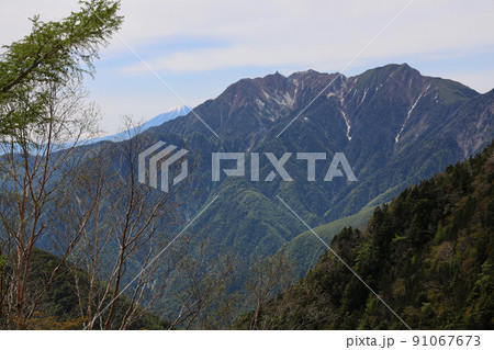 〔山梨県・6月〕鳳凰三山の奥にほの見える富士山　甲斐駒ヶ岳・黒戸尾根コースの核心部以降から撮影 91067673