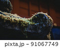 伝統的なお寺の建物についている苔 91067749