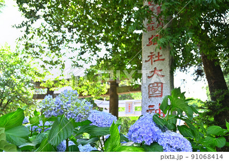 群馬県伊勢崎市下渕名の大國神社 91068414