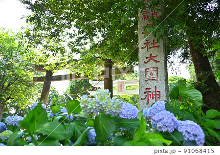 群馬県伊勢崎市下渕名の大國神社 91068415