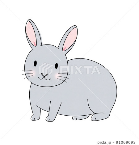 グレー色の雄のうさぎ 91069095