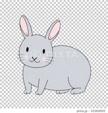 グレー色の雄のうさぎ 91069095