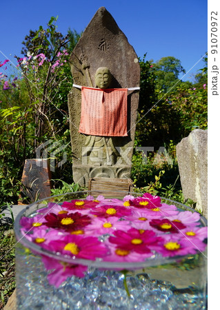 般若寺　奈良　グラスキューブ 91070972