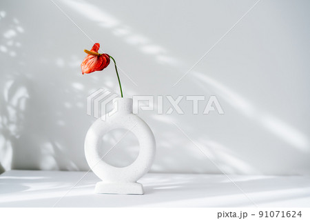 Modern minimalist nordic round ceramic vase with red flower of Anthurium on the white background under sunlight and shadows on a white gray wall. Trendy interior design decor. Copy space. Modern minimalist nordic round ceramic vase with red flower of Anthurium on the white background under sunlight and shadows on a white gray wall. Trendy interior design decor. Copy space. 91071624