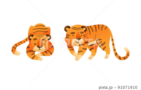 Cute tigers set. Wild jungle predator animal sleeping and walking cartoon vector illustration Cute tigers set. Wild jungle predator animal sleeping and walking cartoon vector illustration 91071910
