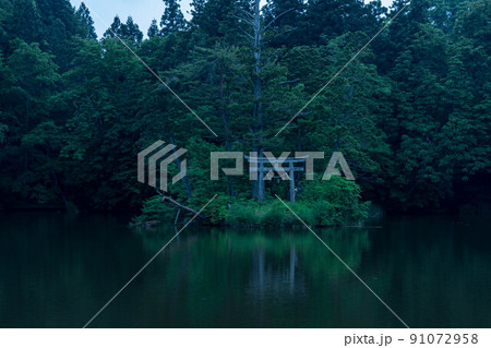 朝日町　大沼の浮島 91072958