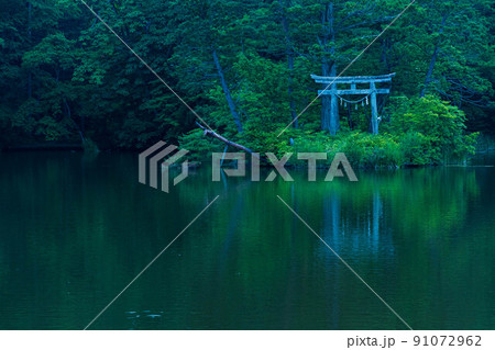 朝日町 大沼の浮島 朝日町 大沼の浮島 91072962