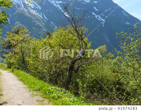 the village Eidfjord in norway the village Eidfjord in norway 91074283