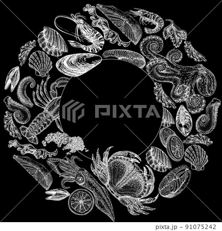 Seafood illustrations. Hand drawn line sea fishes, sushi rolls, oysters, mussels, lobster, squid, octopus, crabs, prawns Seafood illustrations. Hand drawn line sea fishes, sushi rolls, oysters, mussels, lobster, squid, octopus, crabs, prawns 91075242