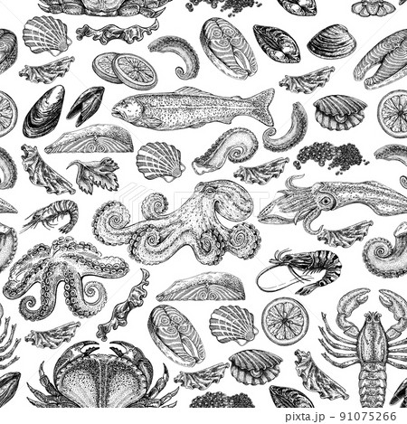 Seafood illustrations. Hand drawn line sea fishes, sushi rolls, oysters, mussels, lobster, squid, octopus, crabs, prawns 91075266