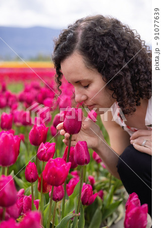 Caucasian Adult Woman looking at fresh Tulip Flowers in a field. Caucasian Adult Woman looking at fresh Tulip Flowers in a field. 91077639