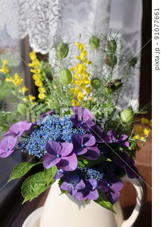 庭の紫陽花を出窓に飾る 91077661