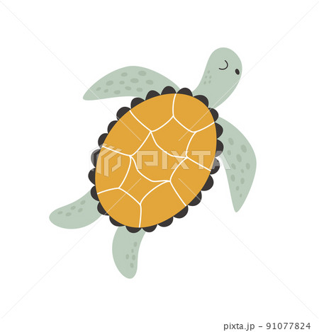 Under water, a cute turtle swims under the water like a beast Under water, a cute turtle swims under the water like a beast 91077824
