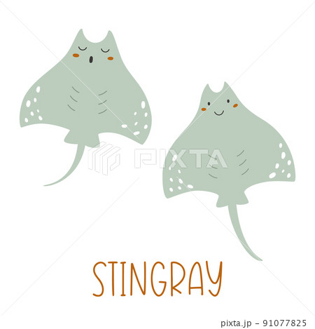 Underwater cute mint stingray fish swims underwater. Underwater cute mint stingray fish swims underwater. 91077825