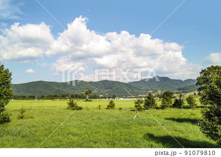 夏の野辺山高原 夏の野辺山高原 91079810
