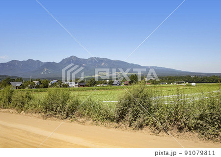 夏の野辺山高原 夏の野辺山高原 91079811