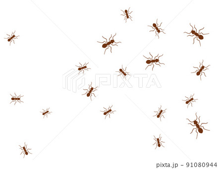 Ant vector trail marching illustration. Ant bug pest control background teamwork 91080944