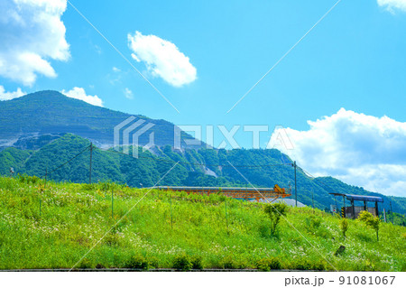 武甲山 春の景色 新緑の季節 武甲山 春の景色 新緑の季節 91081067