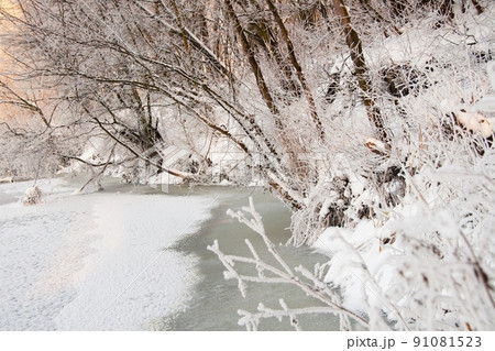 Photo the snow-covered river did not freeze in winter.The river flows in winter. Snow on the branches of trees. Reflection of snow in the river. Huge snowdrifts lie on the Bank of the stream. Photo the snow-covered river did not freeze in winter.The river flows in winter. Snow on the branches of trees. Reflection of snow in the river. Huge snowdrifts lie on the Bank of the stream. 91081523