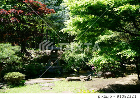 3513 旧前田邸 3513 旧前田邸 91082321