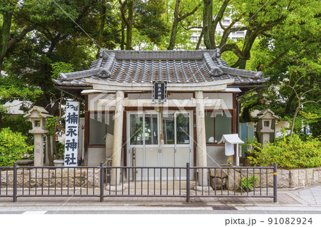 靱公園 うつぼ楠永神社 新緑の季節 靱公園 うつぼ楠永神社 新緑の季節 91082924