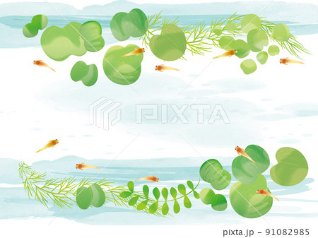 メダカ 水草 和風イラスト メダカ 水草 和風イラスト 91082985