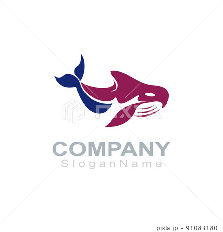 Orca logo image fish animal sea design illustration icon 91083180
