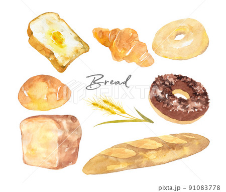 パンいろいろセット　水彩イラスト 91083778