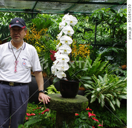 平成s046 平成s046 91084150