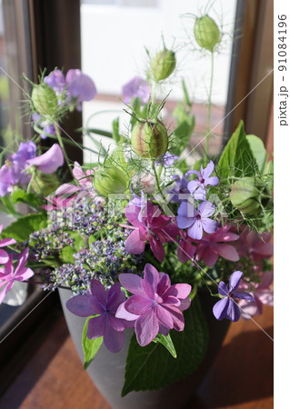 庭の花を出窓に飾る 庭の花を出窓に飾る 91084196