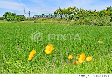 鉄道 JR東日本:宇都宮線(東北本線)E231系 鉄道 JR東日本:宇都宮線(東北本線)E231系 91084394