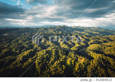 mountains and green trees in the evening mountains and green trees in the evening 91084812