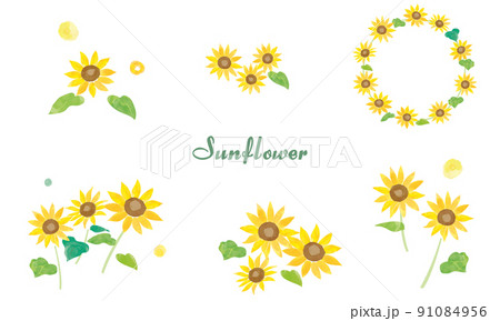 ひまわりの水彩カットイラスト 91084956