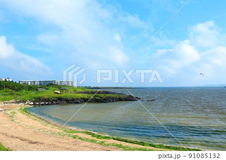 済州島 ビーチ 海水浴場 91085132