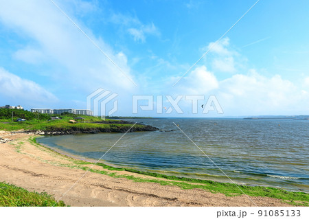 済州島 ビーチ 海水浴場 91085133