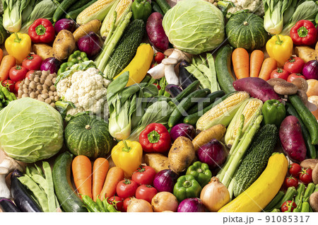 色とりどりの野菜 野菜集合 色とりどりの野菜 野菜集合 91085317